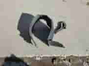 2016 Hyundai Accent SE с VIN KMHCT4AE4GU029277, выставлен на аукционе Copart как лот 85681615 с пробегом 120 055 миль миль и Списание • Salvage title. История ставок и продаж доступна на DreamBid. Изображение 12.