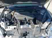 2007 Chevrolet Impala LTZ с VIN 2G1WU58R679191964, выставлен на аукционе IAAI как лот 43395493 с пробегом 88 339 миль миль и . История ставок и продаж доступна на DreamBid. Изображение 10.