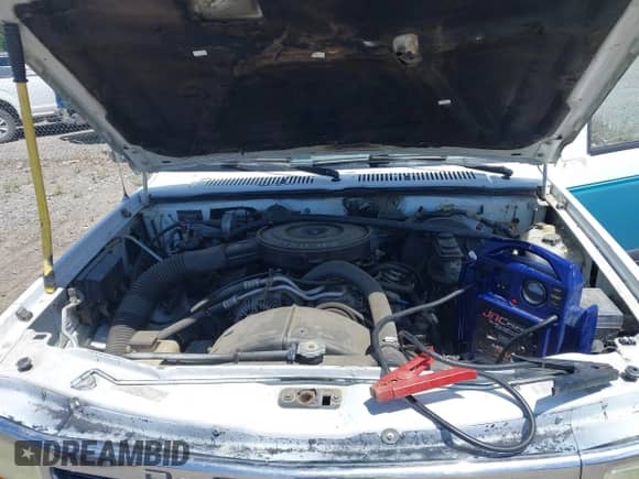 1996 Dodge Dakota with VIN 1B7GG23X5TS523974, listed as a IAAI auction lot 42430916 with 189,216 mi miles and . Bid and sale history available at DreamBid. Image 10.