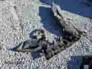 2018 Jeep Wrangler Sport with VIN 1C4GJXAG2JW280163, listed as a Copart auction lot 83984915 with 73,303 mi miles and Salvage title. Bid and sale history available at DreamBid. Image 13.