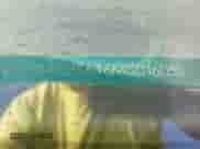 1991 Honda Civic z VIN JHMED3646MS016038, wystawiony jako IAAI lot #42212014 z przebiegiem 180 514 mil mil oraz . Historia ofert i sprzedaży dostępna na DreamBid. Obrazek 9.