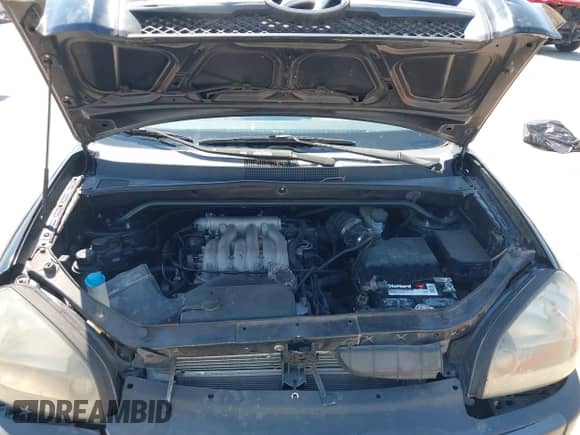 2005 Hyundai Tucson GLS с VIN KM8JN12D75U141929, выставлен на аукционе IAAI как лот 43202184 с пробегом 254 798 миль миль и . История ставок и продаж доступна на DreamBid. Изображение 10.