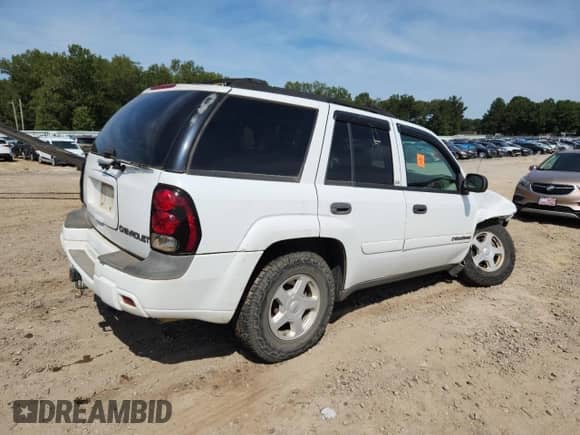 2002 Chevrolet TrailBlazer LS with VIN 1GNDS13S522453625, listed as a Copart auction lot 70542995 with 229,988 mi miles and Clean title. Bid and sale history available at DreamBid. Image 3.