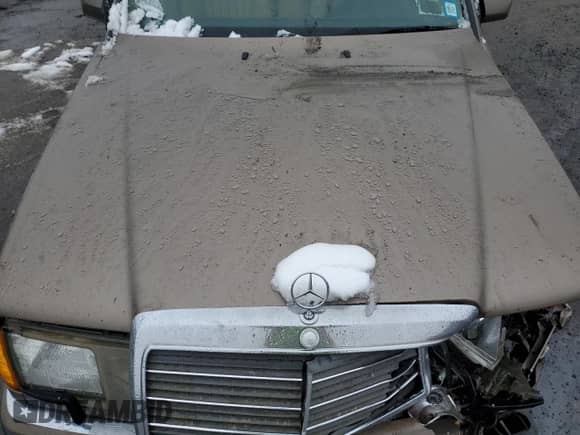 1992 Mercedes-Benz 300 with VIN WDBEA90E9NF223207, listed as a Copart auction lot 44739805 with 210,394 mi miles and Non repairable. Bid and sale history available at DreamBid. Image 13.