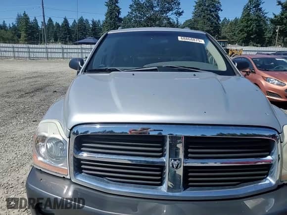 2005 Dodge Durango SLT with VIN 1D4HB48D85F522460, listed as a Copart auction lot 68868875 with 219,216 mi miles and Salvage title. Bid and sale history available at DreamBid. Image 14.