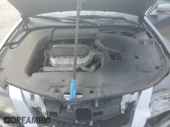 2011 Acura TL Technology with VIN 19UUA8F52BA005408, listed as a Copart auction lot 80314565 with Not provided miles and Salvage title. Bid and sale history available at DreamBid. Image 11.