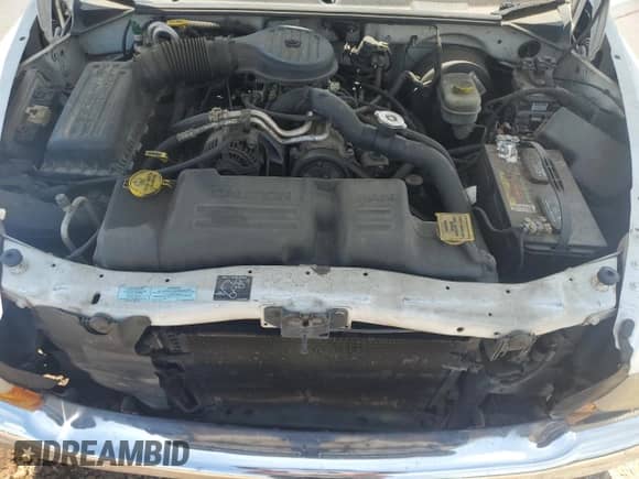 2000 Dodge Dakota с VIN 1B7GL22X1YS697058, выставлен на аукционе Copart как лот 63463645 с пробегом 246 206 миль миль и Списание • Salvage title. История ставок и продаж доступна на DreamBid. Изображение 11.