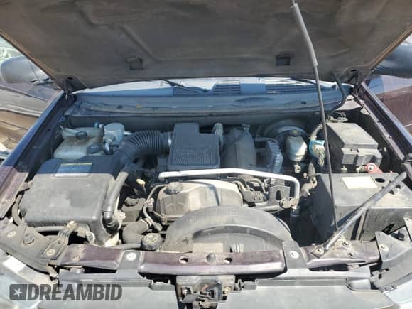 2008 Chevrolet TrailBlazer Fleet 2FL with VIN 1GNDT13S382142653, listed as a Copart auction lot 68042935 with 215,152 mi miles and Salvage title. Bid and sale history available at DreamBid. Image 12.