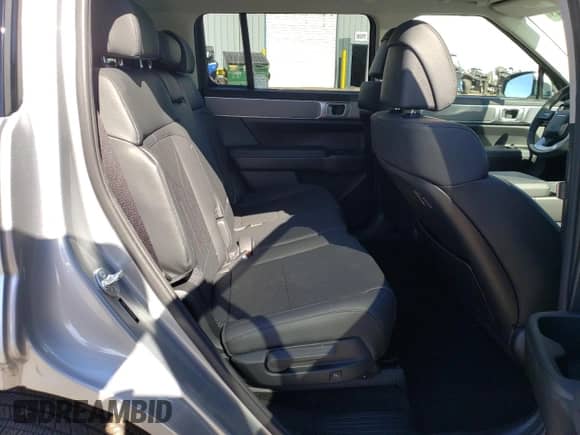 2024 Hyundai Santa Fe SEL с VIN 5NMP2DG12RH010900, выставлен на аукционе Copart как лот 73362884 с пробегом 166 миль миль и Списание • Salvage title. История ставок и продаж доступна на DreamBid. Изображение 10.