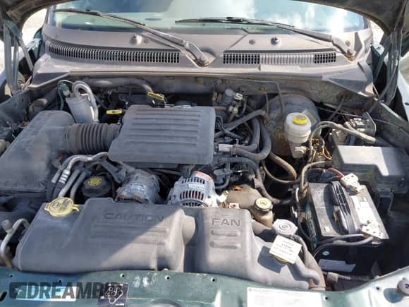 2000 Dodge Dakota with VIN 1B7FL26N0YS551920, listed as a IAAI auction lot 42937737 with 250,459 mi miles and . Bid and sale history available at DreamBid. Image 10.