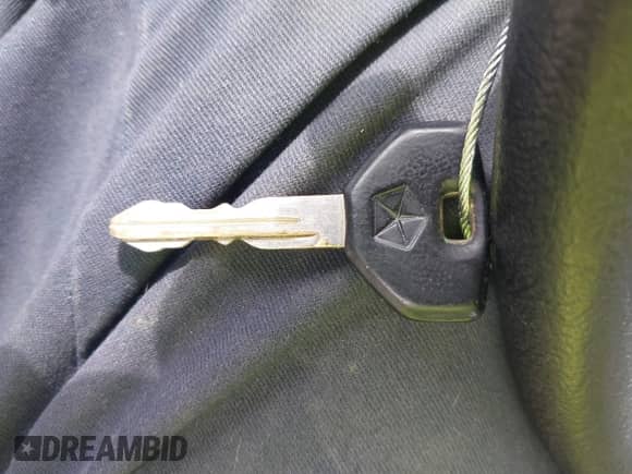 1996 Dodge Dakota with VIN 1B7GL23X2TS583075, listed as a IAAI auction lot 42049233 with 144,020 mi miles and . Bid and sale history available at DreamBid. Image 11.