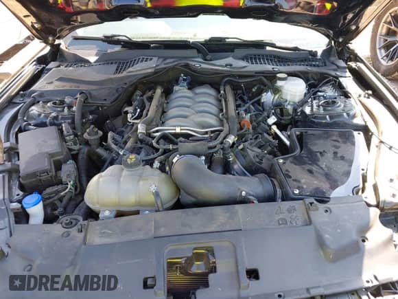 2020 Ford Mustang GT with VIN 1FA6P8CF2L5192099, listed as a IAAI auction lot 42655870 with 65,983 mi miles and . Bid and sale history available at DreamBid. Image 10.