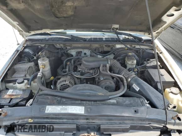 2003 Chevrolet S-10 LS с VIN 1GCCS14X738135776, выставлен на аукционе Copart как лот 56222365 с пробегом 228 308 миль миль и Списание • Salvage title. История ставок и продаж доступна на DreamBid. Изображение 12.