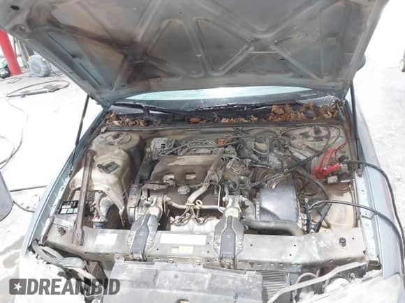 1997 Chevrolet Lumina z VIN 2G1WL52M1V9132379, wystawiony jako IAAI lot #41289812 z przebiegiem 150 062 mil mil oraz . Historia ofert i sprzedaży dostępna na DreamBid. Obrazek 10.