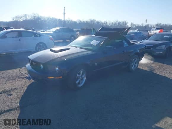 2009 Ford Mustang GT z VIN 1ZVHT85H195133807, wystawiony jako IAAI lot #41754860 z przebiegiem 58 955 mil mil oraz . Historia ofert i sprzedaży dostępna na DreamBid. Obrazek 2.