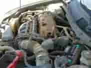 2009 Honda Accord LX с VIN 1HGCP26329A151744, выставлен на аукционе IAAI как лот 42263755 с пробегом Не указан миль и . История ставок и продаж доступна на DreamBid. Изображение 12.