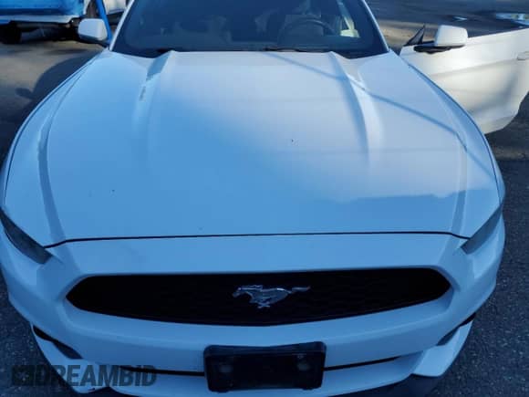 2015 Ford Mustang V6 with VIN 1FATP8EM0F5419132, listed as a Copart auction lot 82495665 with 141,160 mi miles and Salvage title. Bid and sale history available at DreamBid. Image 11.