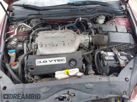 2005 Honda Accord EX-L с VIN 1HGCM66555A010792, выставлен на аукционе IAAI как лот 42765361 с пробегом 242 477 миль миль и . История ставок и продаж доступна на DreamBid. Изображение 10.