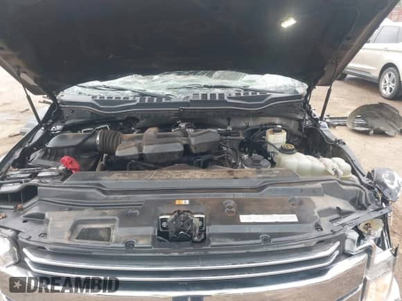 2019 Ford F-250 XL with VIN 1FT7W2B6XKEF64755, listed as a IAAI auction lot 42070585 with 128,538 mi miles and . Bid and sale history available at DreamBid. Image 10.