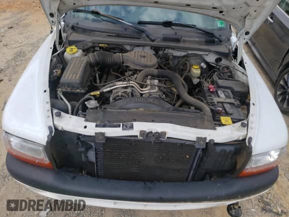 1998 Dodge Dakota SLT с VIN 1B7FL26Y6WS767052, выставлен на аукционе Copart как лот 83960925 с пробегом 67 746 миль миль и Списание • Salvage title. История ставок и продаж доступна на DreamBid. Изображение 11.