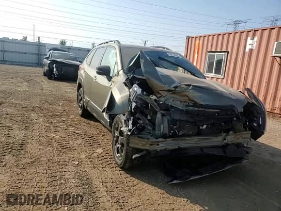 2022 Subaru Forester Wilderness with VIN JF2SKAMCXNH466283, listed as a Copart auction lot 80413265 with 64,557 mi miles and Salvage title. Bid and sale history available at DreamBid. Image 13.
