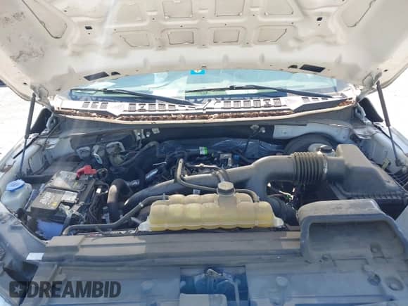 2019 Ford F-150 XL with VIN 1FTEW1CP3KKD55769, listed as a IAAI auction lot 41965874 with 114,317 mi miles and . Bid and sale history available at DreamBid. Image 10.