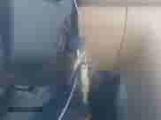 1997 Honda Accord Value с VIN 1HGCD568XVA170624, выставлен на аукционе IAAI как лот 41282210 с пробегом 191 337 миль миль и . История ставок и продаж доступна на DreamBid. Изображение 11.