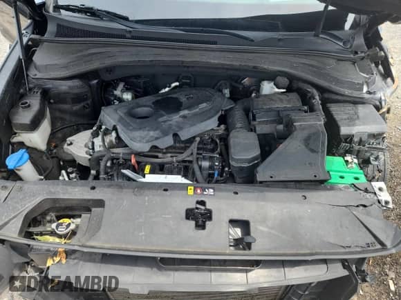 2019 Hyundai Santa Fe Ultimate с VIN 5NMS5CAD6KH086799, выставлен на аукционе Copart как лот 64751635 с пробегом 57 802 миль миль и Списание • Salvage title. История ставок и продаж доступна на DreamBid. Изображение 12.