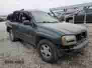 2002 Chevrolet TrailBlazer LS with VIN 1GNDT13S222530075, listed as a Copart auction lot 44366625 with Not provided miles and Salvage title. Bid and sale history available at DreamBid. Image 4.