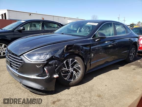 2020 Hyundai Sonata Blue с VIN KMHL24JJ1LA009614, выставлен на аукционе Copart как лот 48516895 с пробегом 35 776 миль миль и Списание • Salvage title. История ставок и продаж доступна на DreamBid. Изображение 1.