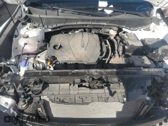 2024 Hyundai Santa Cruz SE with VIN 5NTJADAE0RH099312, listed as a Copart auction lot 50246875 with 5,406 mi miles and Salvage title. Bid and sale history available at DreamBid. Image 11.