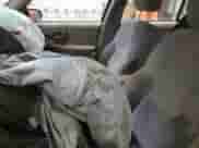 1997 Chevrolet Lumina с VIN 2G1WL52M3V9233150, выставлен на аукционе Copart как лот 51259704 с пробегом Не указан миль и Списание • Salvage title. История ставок и продаж доступна на DreamBid. Изображение 7.