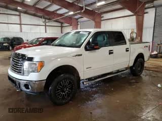 2011 Ford F-150 XLT z VIN 1FTFW1ET0BKE00911, wystawiony jako Copart lot #59752995 z przebiegiem 163 868 mil mil oraz Czysty tytuł • Clean title. Historia ofert i sprzedaży dostępna na DreamBid. Obrazek 1.