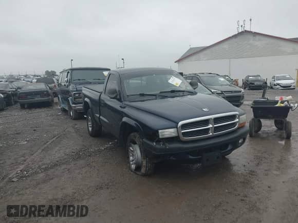 2004 Dodge Dakota with VIN 1D7GG36KX4S596268, listed as a IAAI auction lot 42535177 with 60,497 mi miles and . Bid and sale history available at DreamBid. Image 6.