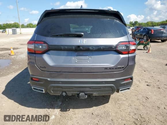 2025 Honda Pilot Black Edition с VIN 5FNYG1H96SB076219, выставлен на аукционе Copart как лот 69120205 с пробегом 15 133 миль миль и Списание • Salvage title. История ставок и продаж доступна на DreamBid. Изображение 6.