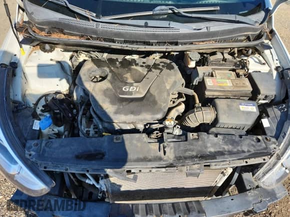 2017 Hyundai Accent SE с VIN KMHCT5AE0HU307566, выставлен на аукционе Copart как лот 83992085 с пробегом 202 876 миль миль и Списание • Salvage title. История ставок и продаж доступна на DreamBid. Изображение 11.