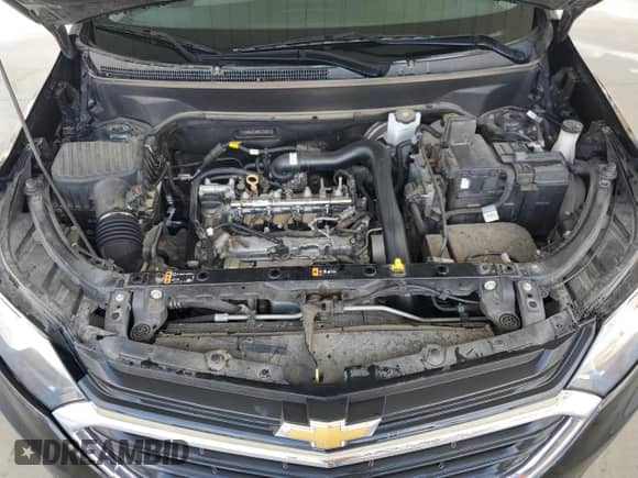 2021 Chevrolet Equinox LS with VIN 2GNAXHEV8M6125318, listed as a Copart auction lot 63687005 with 142,487 mi miles and Clean title. Bid and sale history available at DreamBid. Image 12.