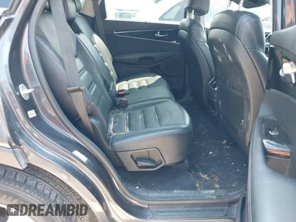 2017 Kia Sorento EX z VIN 5XYPH4A14HG190770, wystawiony jako IAAI lot #42501305 z przebiegiem 156 570 mil mil oraz . Historia ofert i sprzedaży dostępna na DreamBid. Obrazek 8.