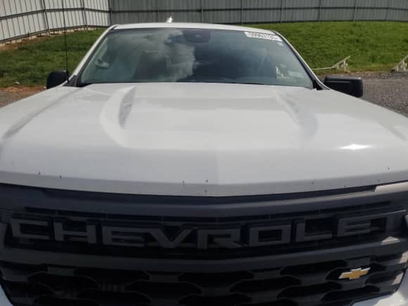 2023 Chevrolet Silverado 1500 Work Truck with VIN 1GCPDAEK3PZ217695, listed as a Copart auction lot 59963135 with Not provided miles and Salvage title. Bid and sale history available at DreamBid. Image 11.
