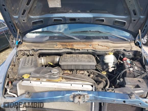 2003 Dodge 1500 ST с VIN 1D7HA16K73J557054, выставлен на аукционе IAAI как лот 43412472 с пробегом 164 459 миль миль и . История ставок и продаж доступна на DreamBid. Изображение 10.