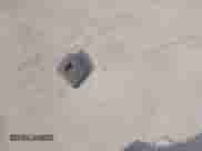 2009 Nissan Murano SL with VIN JN8AZ18W19W152778, listed as a IAAI auction lot 42889128 with 182,380 mi miles and . Bid and sale history available at DreamBid. Image 12.