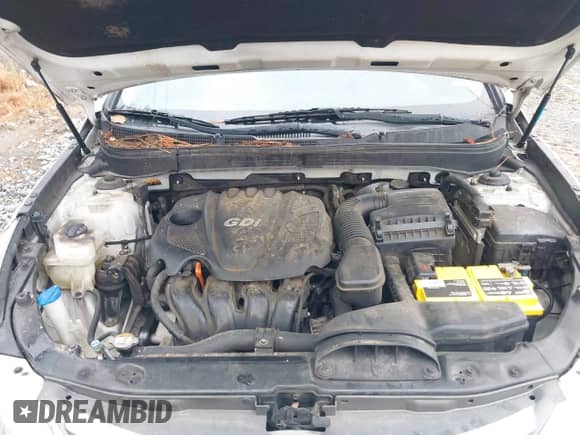 2014 Hyundai Sonata GLS z VIN 5NPEB4AC2EH926099, wystawiony jako IAAI lot #43537846 z przebiegiem 223 373 mil mil oraz . Historia ofert i sprzedaży dostępna na DreamBid. Obrazek 10.