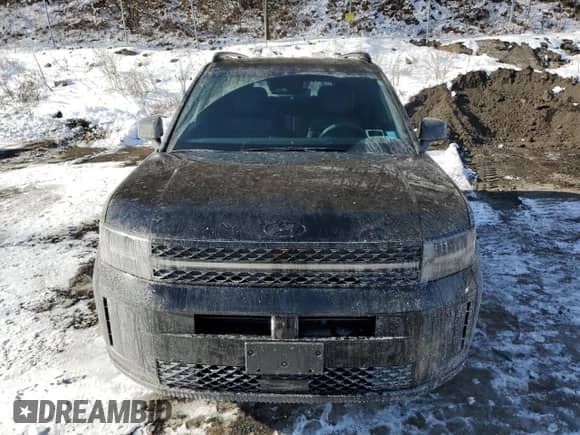 2024 Hyundai Santa Fe Calligraphy с VIN 5NMP5DG18RH015509, выставлен на аукционе Copart как лот 41762985 с пробегом 1 117 миль миль и Списание • Salvage title. История ставок и продаж доступна на DreamBid. Изображение 5.