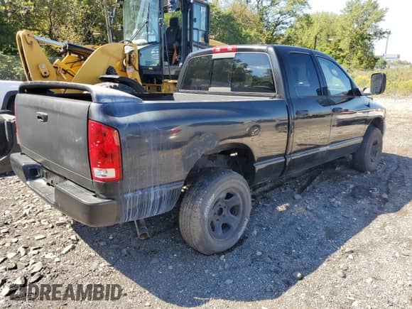 2002 Dodge 1500 с VIN 1D7HU18NX2J197579, выставлен на аукционе Copart как лот 80966975 с пробегом Не указан миль и Чистый • Clean title. История ставок и продаж доступна на DreamBid. Изображение 3.