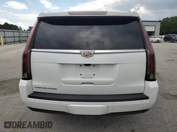 2020 Cadillac Escalade ESV Platinum with VIN 1GYS4KKJ2LR111688, listed as a Copart auction lot 56800765 with 78,146 mi miles and Salvage title. Bid and sale history available at DreamBid. Image 6.