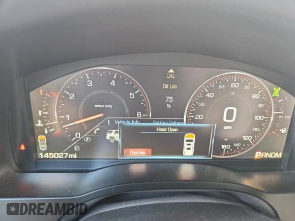 2015 Cadillac Escalade Luxury with VIN 1GYS3BKJ0FR170147, listed as a Copart auction lot 81383785 with 145,027 mi miles and Clean title. Bid and sale history available at DreamBid. Image 9.