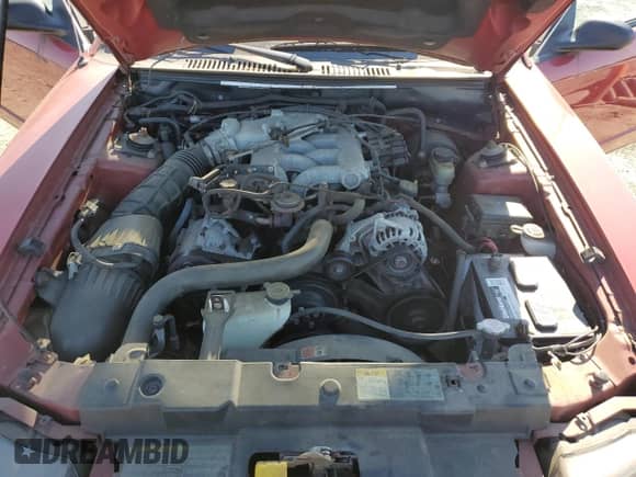 2004 Ford Mustang Deluxe с VIN 1FAFP44404F102515, выставлен на аукционе Copart как лот 75318024 с пробегом 65 383 миль миль и Списание • Salvage title. История ставок и продаж доступна на DreamBid. Изображение 11.