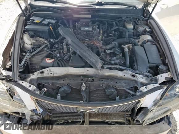 2008 Lexus IS F с VIN JTHBP262885003654, выставлен на аукционе Copart как лот 65172835 с пробегом 168 697 миль миль и Списание • Salvage title. История ставок и продаж доступна на DreamBid. Изображение 11.