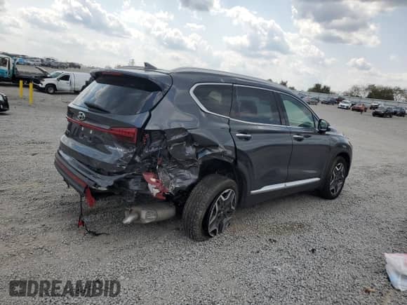 2023 Hyundai Santa Fe SEL Premium with VIN 5NMS3DA1XPH015646, listed as a Copart auction lot 80356775 with Not provided miles and Salvage title. Bid and sale history available at DreamBid. Image 3.