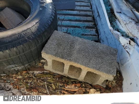 1992 Ford F-150 z VIN 1FTDF15Y3NNA18376, wystawiony jako Copart lot #77421854 z przebiegiem Nie podano mil oraz Szkoda całkowita • Salvage title. Historia ofert i sprzedaży dostępna na DreamBid. Obrazek 10.